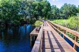 14245 Damselfly Drive - Photo 35