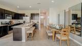 255 Royal Spoonbill Drive - Photo 8