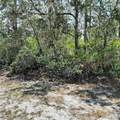 211 Camellia Drive - Photo 1