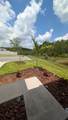 3446 Suncoast Plains Drive - Photo 14