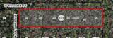 10006 Brocade Street - Photo 2