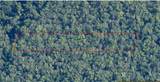 10006 Brocade Street - Photo 3