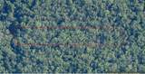 10006 Brocade Street - Photo 4