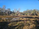 359 Savannah Oaks Drive - Photo 3