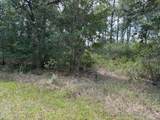 213 Plumosa Drive - Photo 1