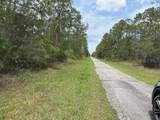 213 Plumosa Drive - Photo 2