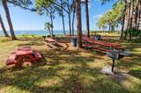 2700 Bayshore Boulevard - Photo 37