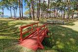 2700 Bayshore Boulevard - Photo 40