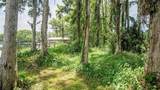 10818 Land O Lakes Boulevard - Photo 25