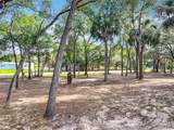 11907 Care Point - Photo 39