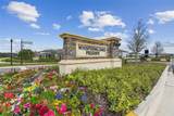 33287 Sycamore Leaf Drive - Photo 44
