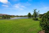 11354 Callisia Drive - Photo 31