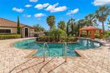 11354 Callisia Drive - Photo 49