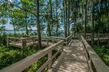 4133 Auston Way - Photo 84