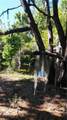  Lake Lowery Road - Photo 7
