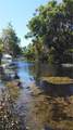  Lake Lowery Road - Photo 9