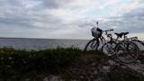 39650 Us Hwy 19 N - Photo 52