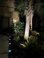 6031 Grand Sonata Avenue - Photo 52