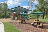 27209 Firebush Drive - Photo 42