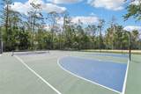 27209 Firebush Drive - Photo 44