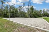 27209 Firebush Drive - Photo 46