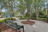 27209 Firebush Drive - Photo 47