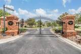 27427 Mistflower Drive - Photo 3