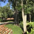 1553 Amber Leaf Circle - Photo 38