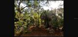  Sernice Street - Photo 2