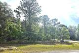 3311 Daffodil Drive - Photo 1