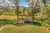 15234 Scanio Drive - Photo 35