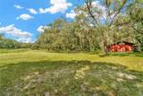 15234 Scanio Drive - Photo 38
