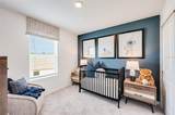 13245 Tropical Breeze Way - Photo 12