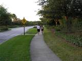 4116 Knollpoint Drive - Photo 90