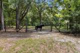8583 Tibet Terrace - Photo 52