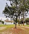 13186 Thrush Street - Photo 50