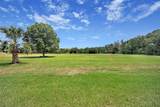937 Old Welcome Road - Photo 7
