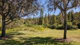 19251 Stone Hedge Drive - Photo 4