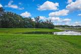 13648 Whiskey Daisy Drive - Photo 40
