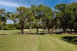 335 Palmdale Drive - Photo 88