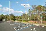 30352 Elderwood Drive - Photo 43