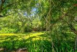 16138 Manorwood Circle - Photo 35
