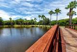 2700 Cove Cay Drive - Photo 42