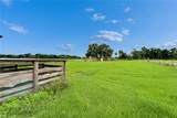 1620 Mcgee Road - Photo 19