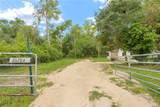 26104 Whipperwill Street - Photo 2