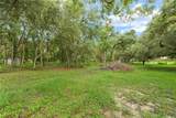 26104 Whipperwill Street - Photo 8