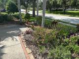 1353 El Pardo Drive - Photo 4