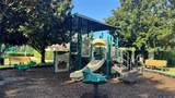 643 Blenheim Loop - Photo 35
