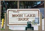 12704 Lacey - Photo 26
