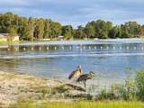 12704 Lacey - Photo 32